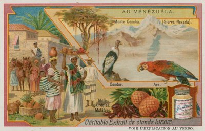 Sierra Nevada with a Condor and a Parrot and Mixed Descent Natives by European School